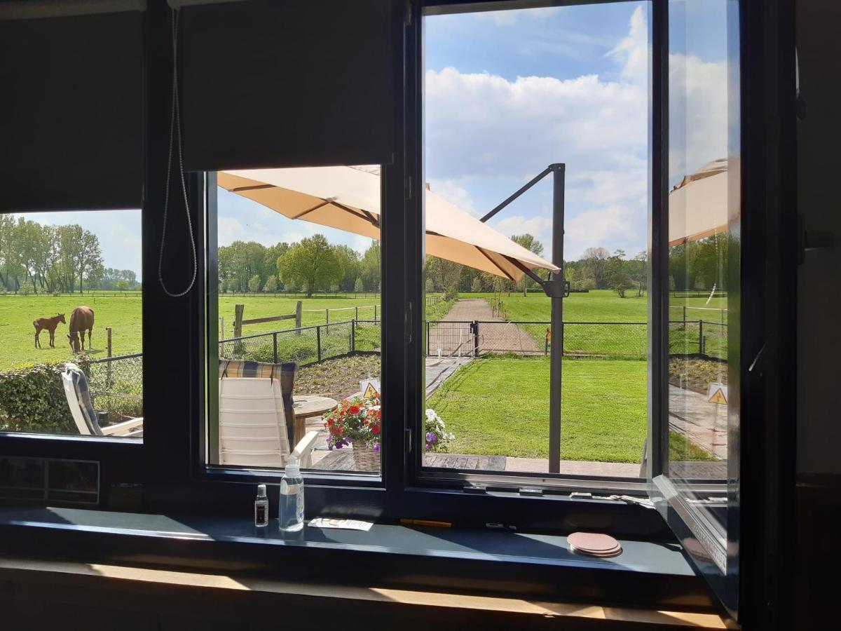 Bed and Breakfast De Weije Wereld Sint-Oedenrode Esterno foto