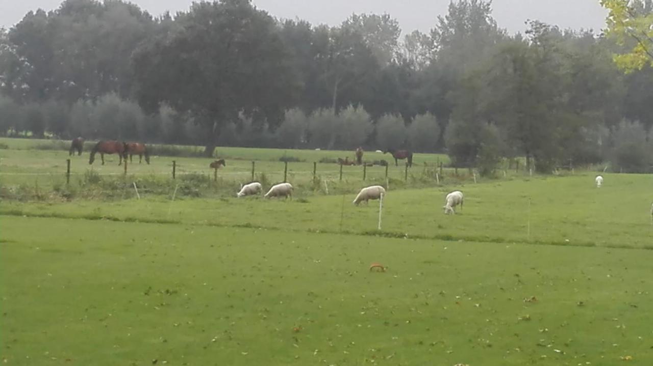 Bed and Breakfast De Weije Wereld Sint-Oedenrode Esterno foto