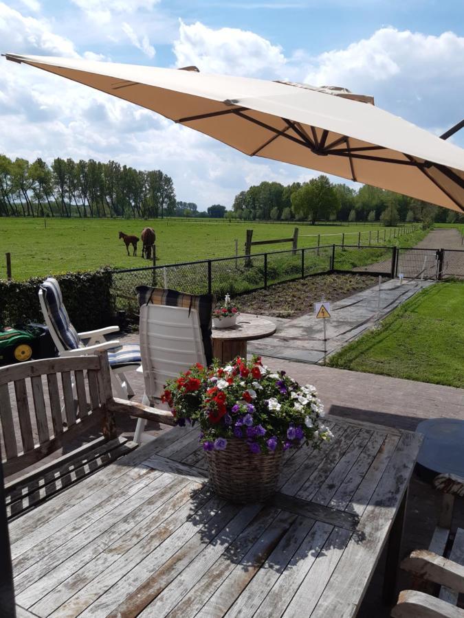 Bed and Breakfast De Weije Wereld Sint-Oedenrode Esterno foto